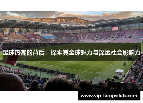 足球热潮的背后：探索其全球魅力与深远社会影响力