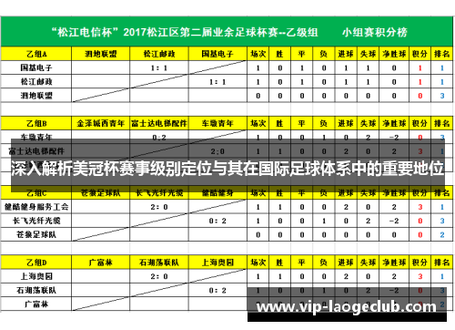 深入解析美冠杯赛事级别定位与其在国际足球体系中的重要地位 深入解析美冠杯赛事级别定位与其在国际足球体系中的重要地位