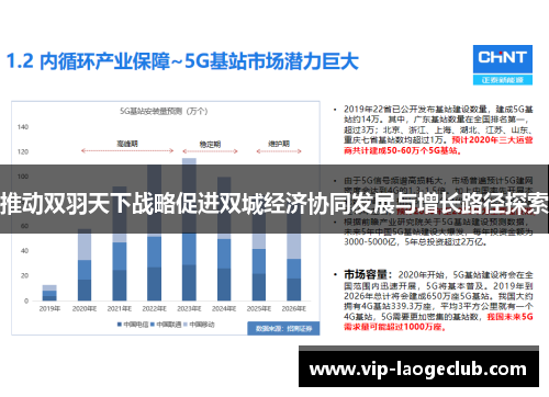 推动双羽天下战略促进双城经济协同发展与增长路径探索