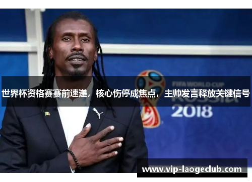 世界杯资格赛赛前速递，核心伤停成焦点，主帅发言释放关键信号