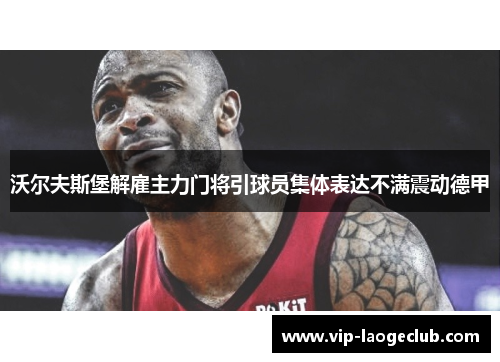 沃尔夫斯堡解雇主力门将引球员集体表达不满震动德甲 沃尔夫斯堡解雇主力门将引球员集体表达不满震动德甲