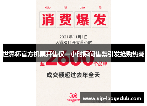 世界杯官方机票开售仅一小时瞬间售罄引发抢购热潮 世界杯官方机票开售仅一小时瞬间售罄引发抢购热潮