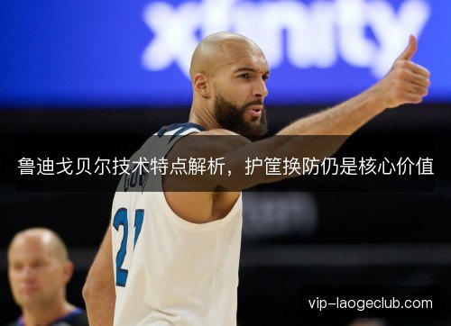鲁迪戈贝尔技术特点解析,护筐换防仍是核心价值 鲁迪戈贝尔技术特点解析,护筐换防仍是核心价值
